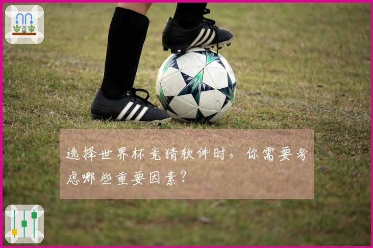 选择世界杯竞猜软件时，你需要考虑哪些重要因素？